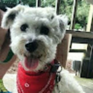 Meet your Posher, Diana